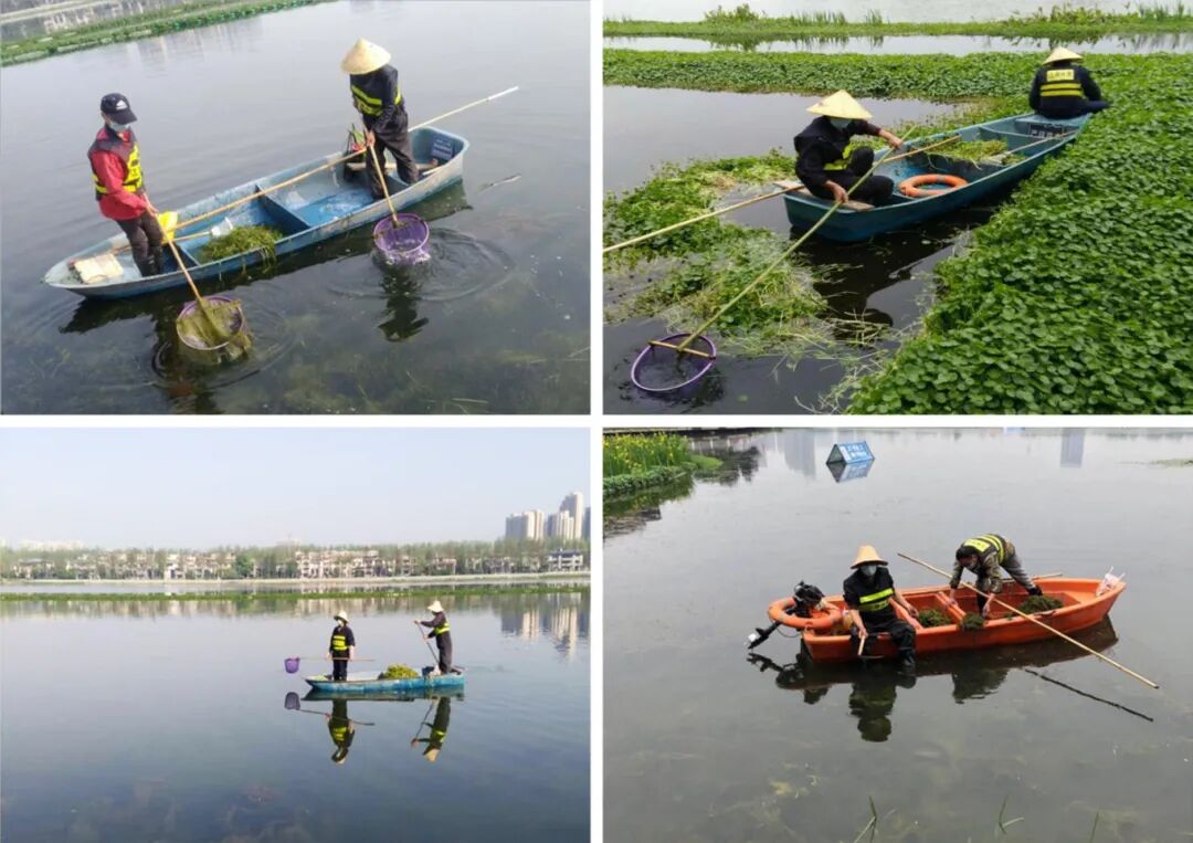 运维管养.jpg