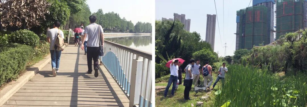 现场踏勘.jpg