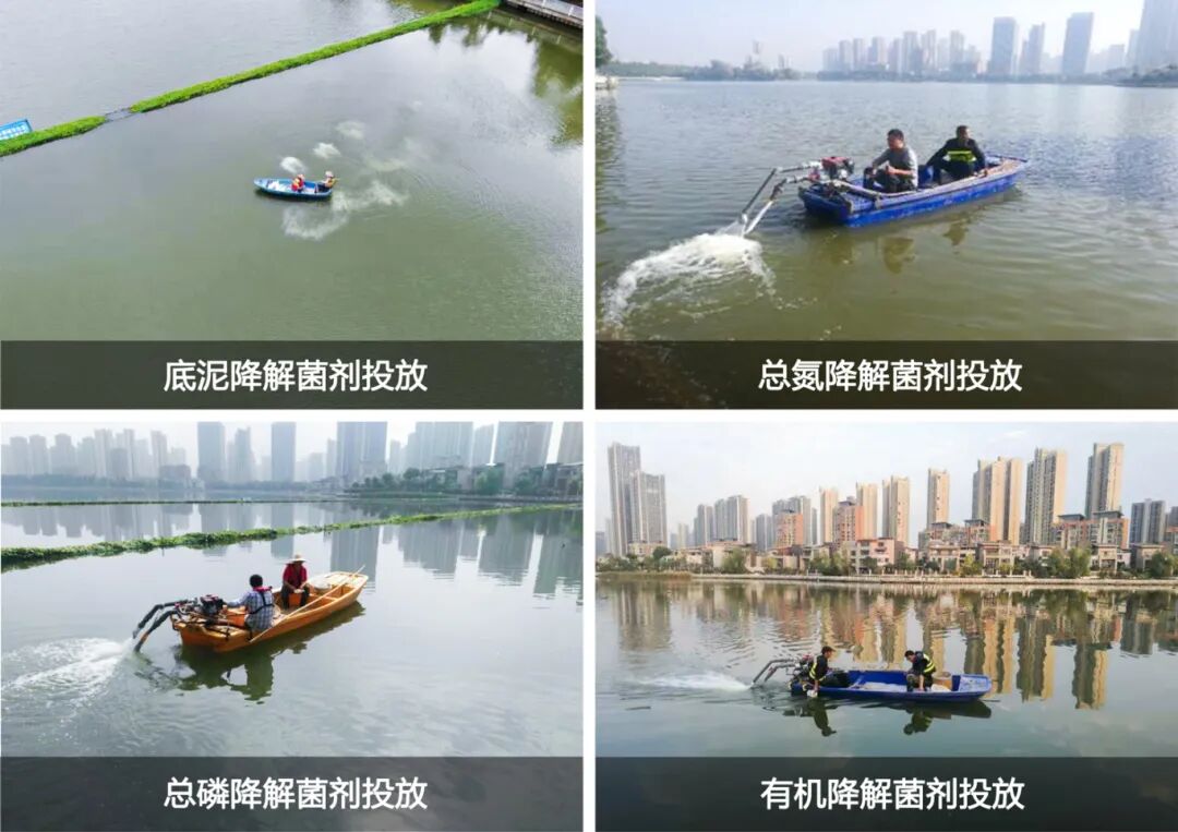 菌剂投放.jpg